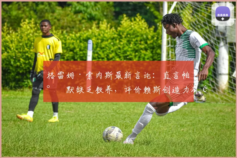 格雷姆·索内斯最新言论：直言帕尔默缺乏教养，评价赖斯创造力有限引发热议
