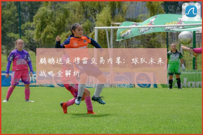 鹈鹕送走穆雷交易内幕：球队未来战略全解析